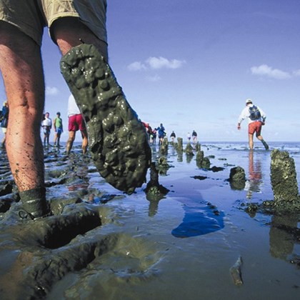 Wadlopen