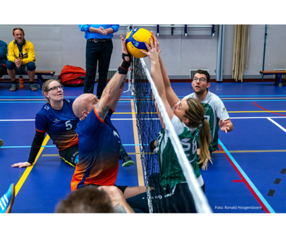 ZitVolleybal